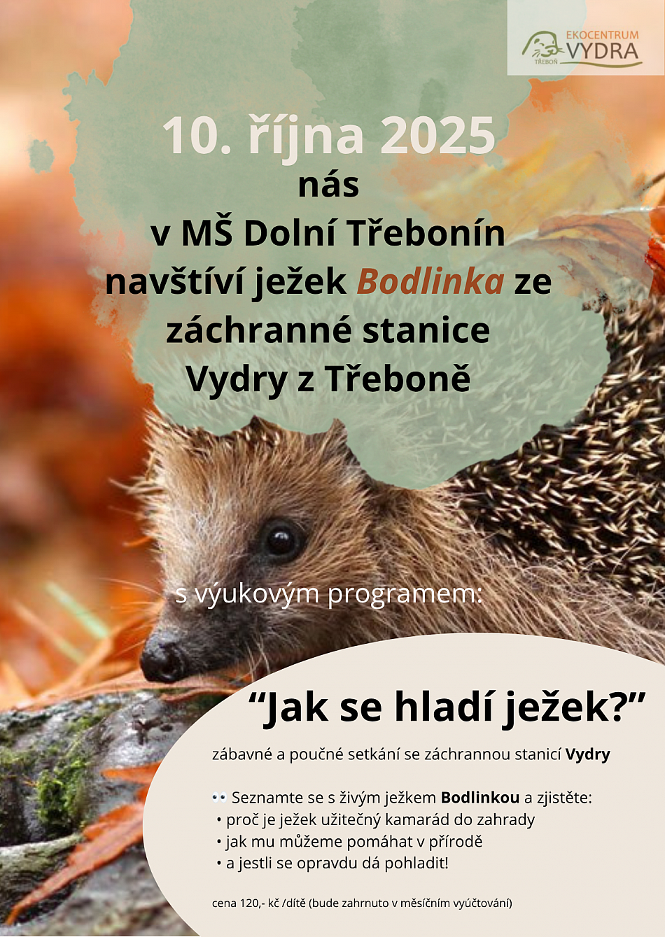 Bodlinka 10.10.2025