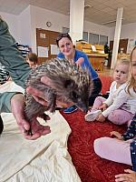 Říjen ve školce 2025, foto: Učitelky MŠ