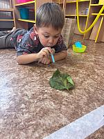 Říjen ve školce 2025, foto: Učitelky MŠ