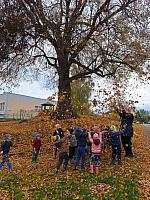Říjen ve školce 2025, foto: Učitelky MŠ