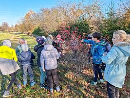 Listopad s Křemílkem a Vochomůrkou 28.11.2025, foto: D. Nepivodová