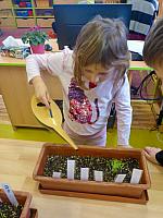 Listopad s Křemílkem a Vochomůrkou 28.11.2025, foto: D. Nepivodová