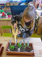 Listopad s Křemílkem a Vochomůrkou 28.11.2025, foto: D. Nepivodová