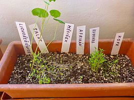 Listopad s Křemílkem a Vochomůrkou 28.11.2025, foto: D. Nepivodová