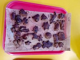 Druhý adventní týden v I. třídě, foto: K. Němečková Hospodářská