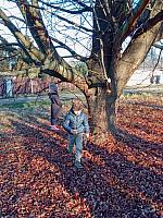 Třetí adventní týden v I. třídě 19.12.2025, foto: K. Němečková Hospodářská