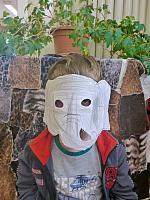 Karneval zvířátek 28.1.2026, foto: D. Nepivodová