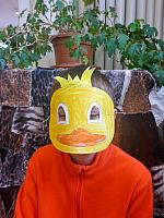 Karneval zvířátek 28.1.2026, foto: D. Nepivodová