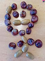 Land art I. třída 6.3.2026, foto: K. Němečková Hospodářská