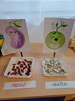 Březen v MŠ 2026, foto: Učitelky MŠ