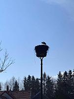 Březen v MŠ 2026, foto: Učitelky MŠ