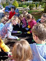 Sázení ve II. třídě 19.3.2026, foto: Mgr. Monika Mičanová