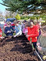 Sázení ve II. třídě 19.3.2026, foto: Mgr. Monika Mičanová
