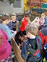 Sázení ve II. třídě 19.3.2026, foto: Mgr. Monika Mičanová