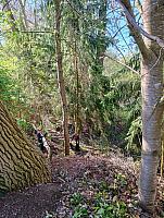 Den Země ve II. třídě 22.4.2026, foto: M. Mičanová, P. Horáková