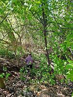 Den Země ve II. třídě 22.4.2026, foto: M. Mičanová, P. Horáková