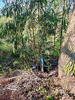 Den Země ve II. třídě 22.4.2026, foto: M. Mičanová, P. Horáková