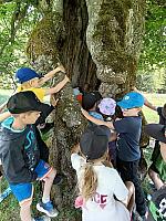 Expedice Horská Kvilda 2026 - 2. a 3. ročník, foto: Mgr. Monika Mičanová