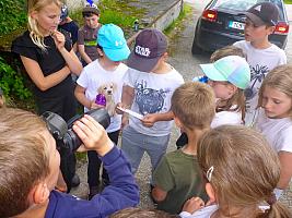 Pohádková cesta za pokladem 17.6.2026, foto: D. Nepivodová