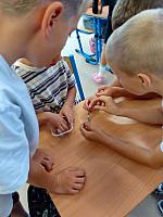 Zábavné dopoledne s prvňáky 4.9.2026, foto: K. Němečková Hospodářská, J. Švec