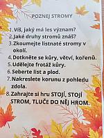 Poznáváme stromy v I. třídě, foto: K. Němečková Hospodářská