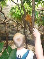 Výlet I. r. do ZOO a přespání ve škole, foto: K. Němečková Hospodářská