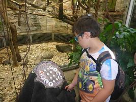 Výlet I. r. do ZOO a přespání ve škole, foto: K. Němečková Hospodářská