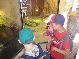 Výlet I. r. do ZOO a přespání ve škole, foto: K. Němečková Hospodářská