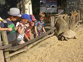 Výlet I. r. do ZOO a přespání ve škole, foto: K. Němečková Hospodářská