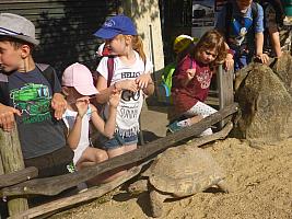 Výlet I. r. do ZOO a přespání ve škole, foto: K. Němečková Hospodářská