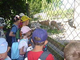 Výlet I. r. do ZOO a přespání ve škole, foto: K. Němečková Hospodářská