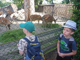 Výlet I. r. do ZOO a přespání ve škole, foto: K. Němečková Hospodářská