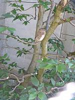 Výlet I. r. do ZOO a přespání ve škole, foto: K. Němečková Hospodářská