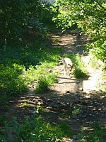 Výlet I. r. do ZOO a přespání ve škole, foto: K. Němečková Hospodářská