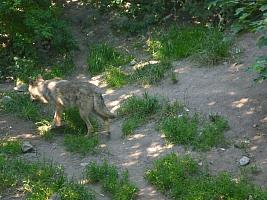 Výlet I. r. do ZOO a přespání ve škole, foto: K. Němečková Hospodářská