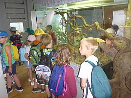 Výlet I. r. do ZOO a přespání ve škole, foto: K. Němečková Hospodářská