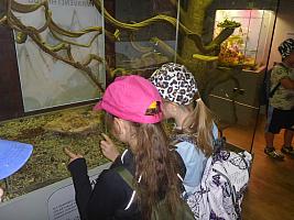 Výlet I. r. do ZOO a přespání ve škole, foto: K. Němečková Hospodářská