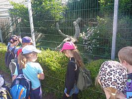 Výlet I. r. do ZOO a přespání ve škole, foto: K. Němečková Hospodářská