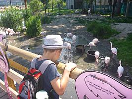 Výlet I. r. do ZOO a přespání ve škole, foto: K. Němečková Hospodářská