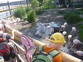 Výlet I. r. do ZOO a přespání ve škole, foto: K. Němečková Hospodářská