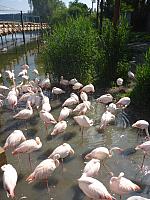 Výlet I. r. do ZOO a přespání ve škole, foto: K. Němečková Hospodářská