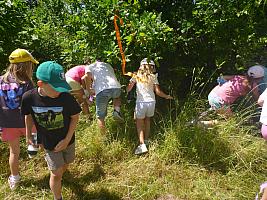Cesta za pokladem 24.6.2025, foto: D. Nepivodová